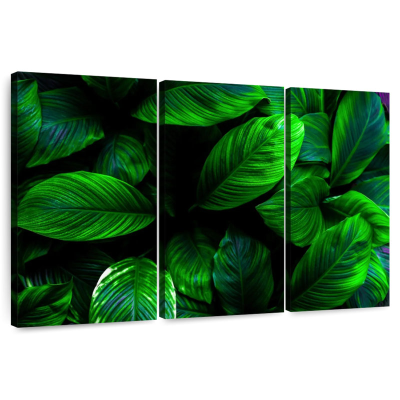 Harnek plantes vertes, H 20 po x l 33 po