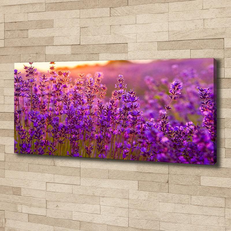 Lavender Field - Wrapped Canvas Print