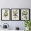 Oiseau antique, botanique et œuf I - ensemble de 3 peintures sur toile encadrées-1128397842-1128397841