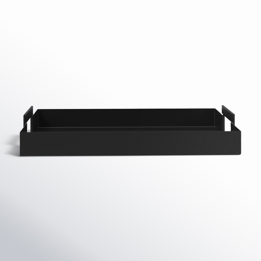 Zenia Metal Tray AllModern 