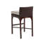 Abaco Bar Stool