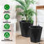 Planter-535990839
