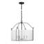 Hubbs 4 lumières Ashlay en noir mat-1701114450