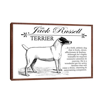 Vintage Jack Russell Storybook Style by Traci Anderson - Print on Canvas