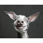 Tongue Out, Joy Out 2 - Unframed-45257425