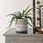 Ceramic and Cream Planter with Saucer Featuring Aztec Design-990244399-990244400