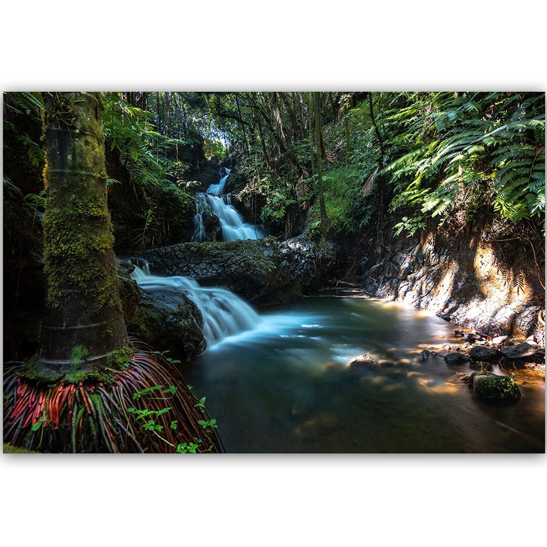 Leinwandbild Wasserfall in den Tropen