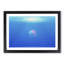 Jellyfish in Pink & Blue with Sunlight - Picture Frame Painting Print-55610067-55610072