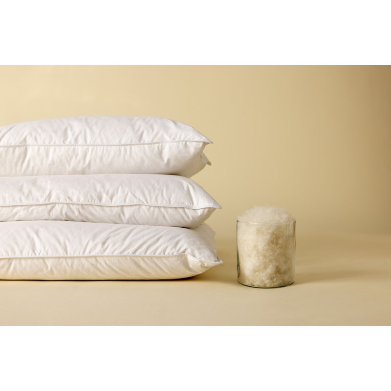 Home Range Goose Feather & Down Pillow Pair