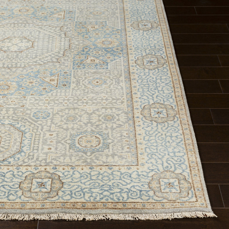 Didimo Wool Oriental Area Rug, Rectangle 2' x 3'
