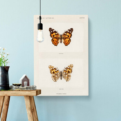 Painted Lady Butterfly by S.F. Denton - Wrapped Canvas
