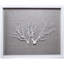 Sealife Print