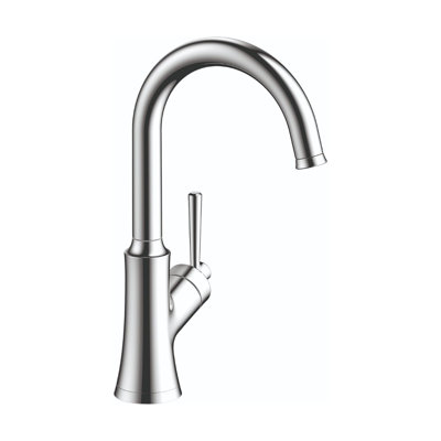 Joleena Pull Down Bar Faucet