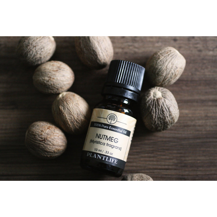 Plantlife Nutmeg 100% Pure Essential Oil - 10 ml