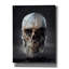 «Cosmo Skull» par Ben Heine-1346162873