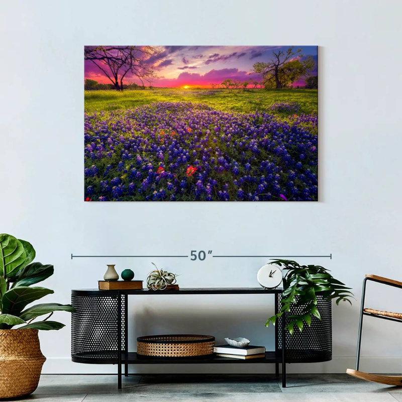 Champ de lavande Alvord Pastel Horizon, H 30 po x l 45 po