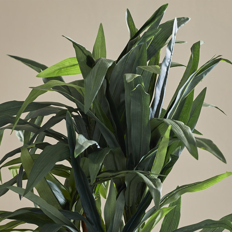 78'' Faux Dracaena Tree in Planter