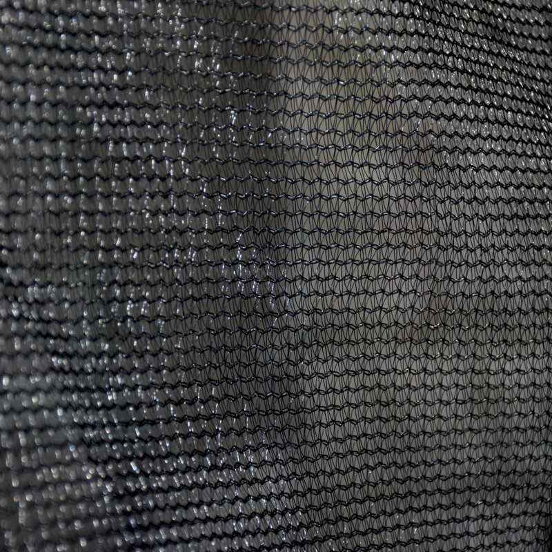 Trampoline d'extérieur 12 pi avec filet de sécurité intérieur, échelle et rembourrage en PVC, Noir / Bleu, Noir