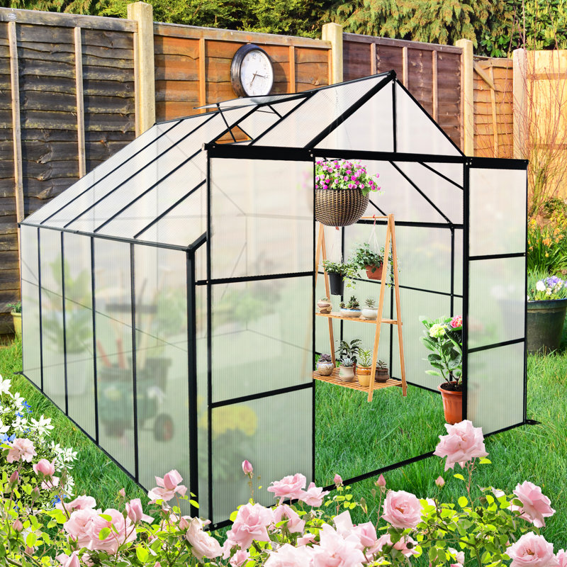 Serre noire de 2,4 x 3 m avec ventilation et drainage, offrant une protection pour les plantes d'extérieur.