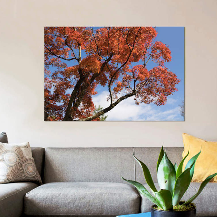 Reproduction de photo sur toile, H 18 po x l 26 po x P 1,5 po