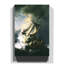 The Storm of the Sea of Galilee by Rembrandt - Wrapped Canvas-19045371
