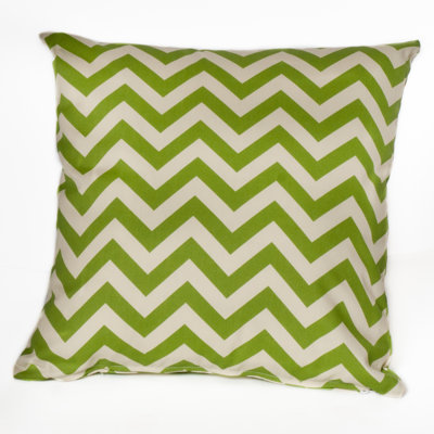 Indoor/Outdoor Throw Pillow