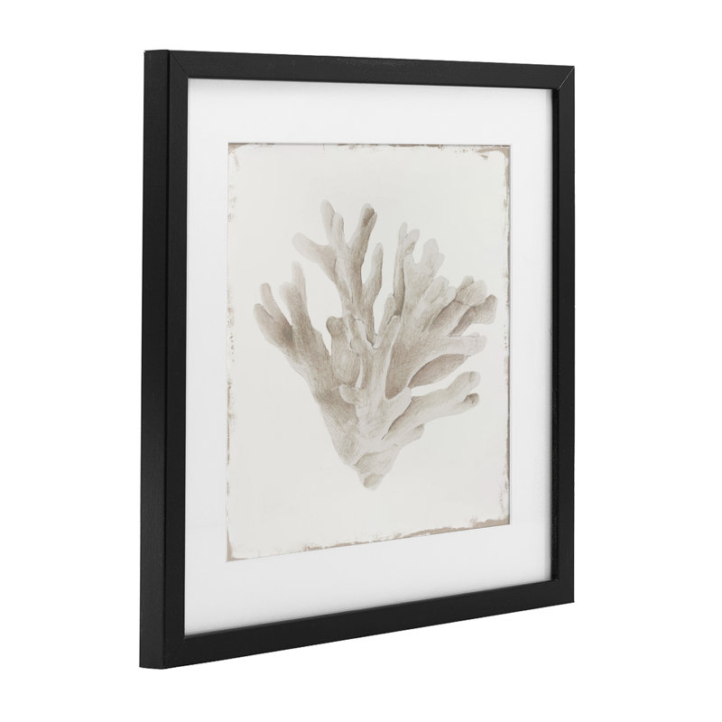 Sandy Coral Drift, reproduction encadrée sous verre, conception de Lily K., Cadre noir minuit, H 16 po x l 16 po