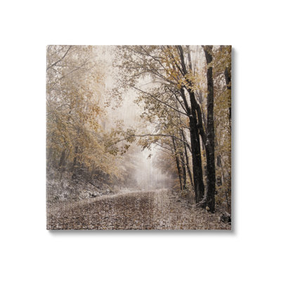 " Sunlit Woodland Nature Trail " by Danita Delimont