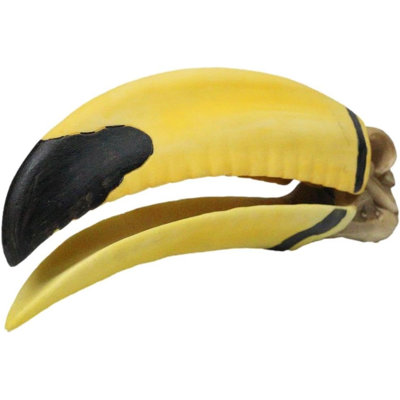 Realistic Faux Toco Toucan Skull With Yellow And Black Beak Sculpture 9" L