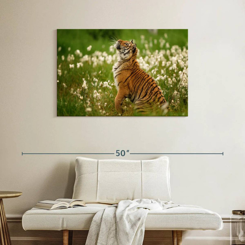 Brampt Tiger Cub, 26" H x 39" W
