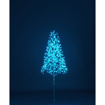 Lighted Trees & Branches