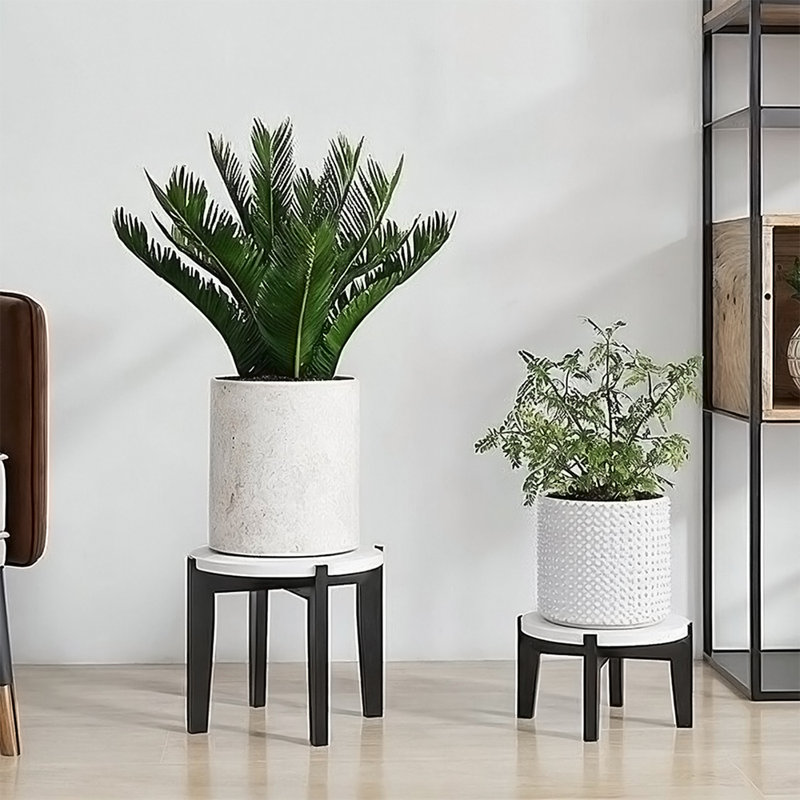 Plant Stand, 12.5cm H x 22cm W x 22cm D