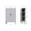 Bonk Pine 2 - Door Standard Accent Cabinet