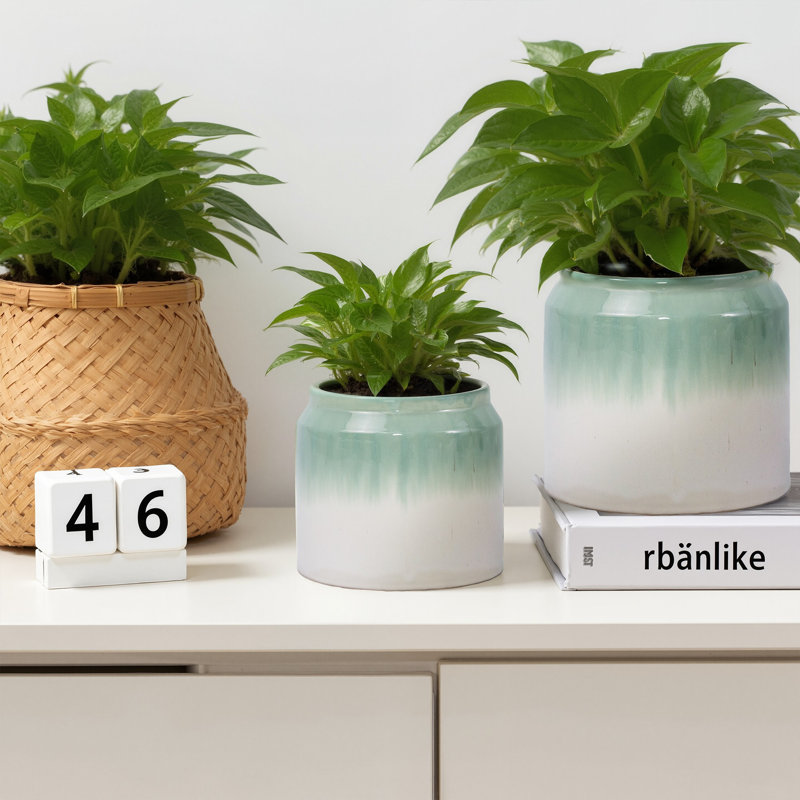 Ensemble de 2 pots de fleurs décoratifs pour l'intérieur et l'extérieur 8 po, Vert / blanc antique