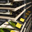 ZLINE 24 po 12,4 pi³ Réfrigérateur à vin colonne 100 bouteilles Triple Zone-111721479