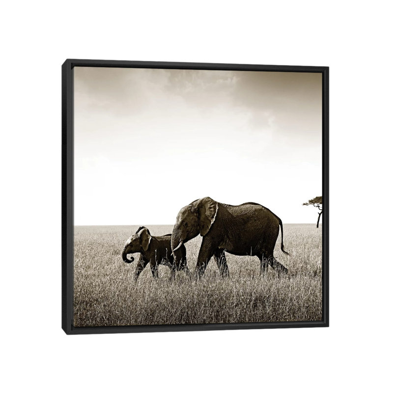 Bonded Elephant by Klaus Tiedge - Print on Canvas, 66.04 cm H x 66.04 cm W, Black Framed