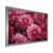 Silver Single Picture Framed