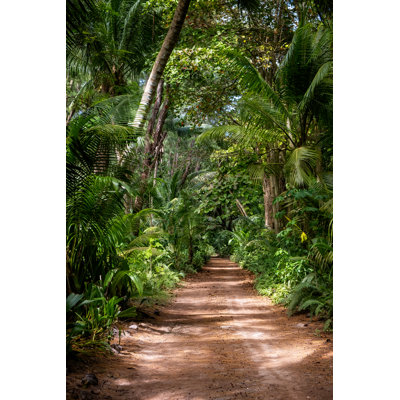 Tropical Jungle by Elenaseychelles - Wrapped Canvas Print