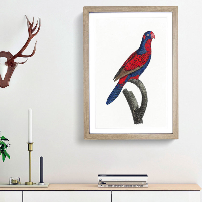 Red-and-Blue Lory by F. Levaillant - Picture Frame Painting Print, 36cm H x 27cm W x 2cm D, Oak Framed