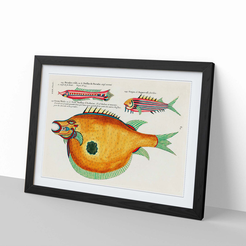 East Indies Fish Illustrations XXX by Louis Renard - Picture Frame Graphic Art Print, 27cm H x 36cm W x 2cm D, Black Framed