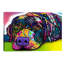 Savvy Labrador by Dean Russo - Print on Canvas-82960048-82960049