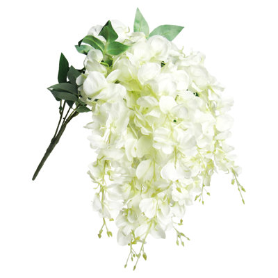 Tige de glycine suspendue