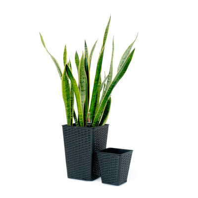 2-Pack Smart Self-Watering Square Planter For Indoor And Outdoor - Hand Woven Wicker