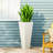 Planters-229607654