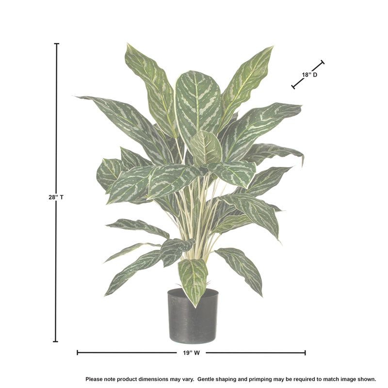 Plante artificielle 27 "en pot Aglaonema