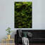 Mousse épaisse sur toile-722743931