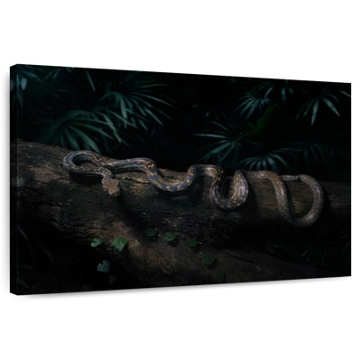 Brampt Australian Scrub Python
