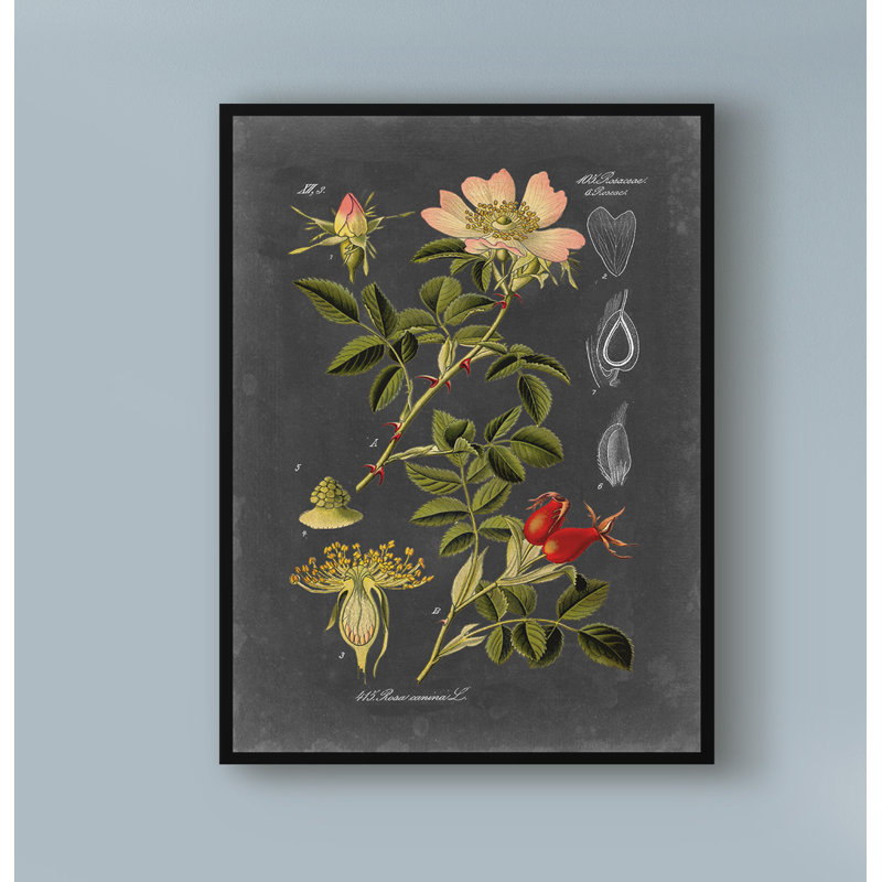 Mid-Century, 24" H x 18" W x 2" D