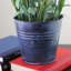 Arrangement floral lavande en pot 12 po mauve et noir