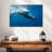 Brampt Humpback Whale-108712756